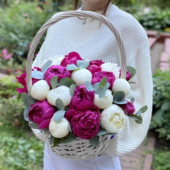 25 малиновых и белых пионов в корзине